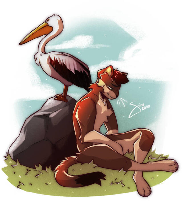 Standard full body Standard full body