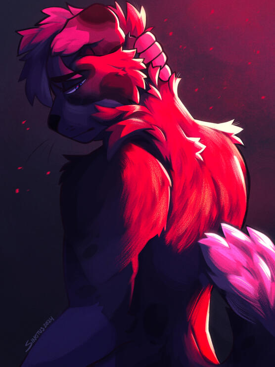 iberianlynxcat iberianlynxcat